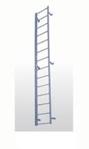 Standard Fixed Industrial Ladder