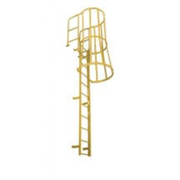 Fixed Caged Handrail Ladder