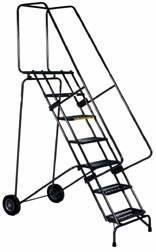 Fold and Store Ladder