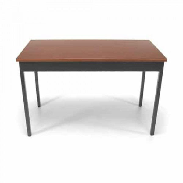 Utility Table 24x48
